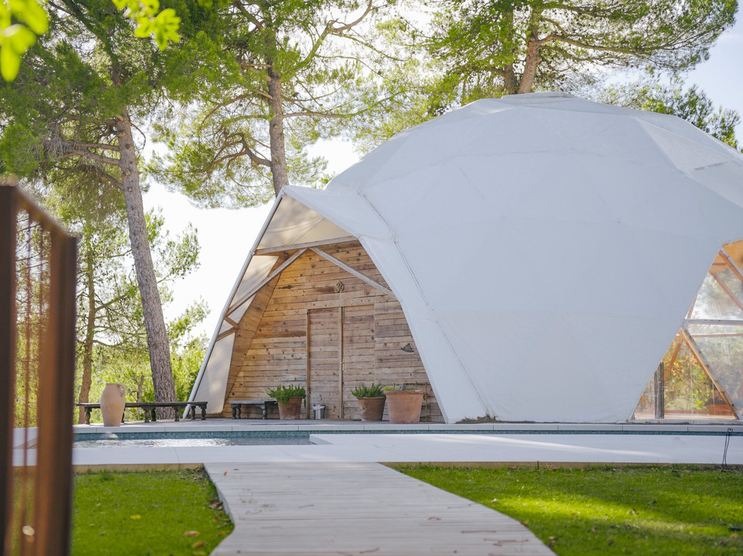 Masqi, The Energy House主图