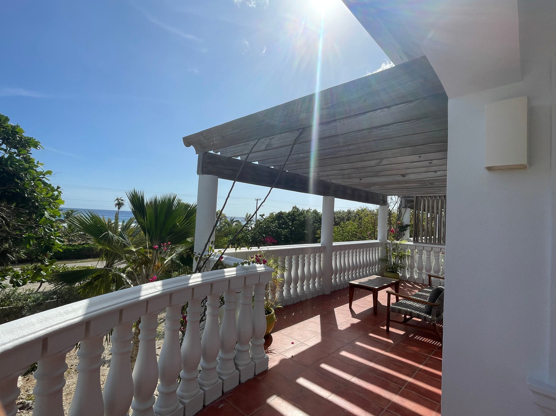 Le Soleil d'Or主图