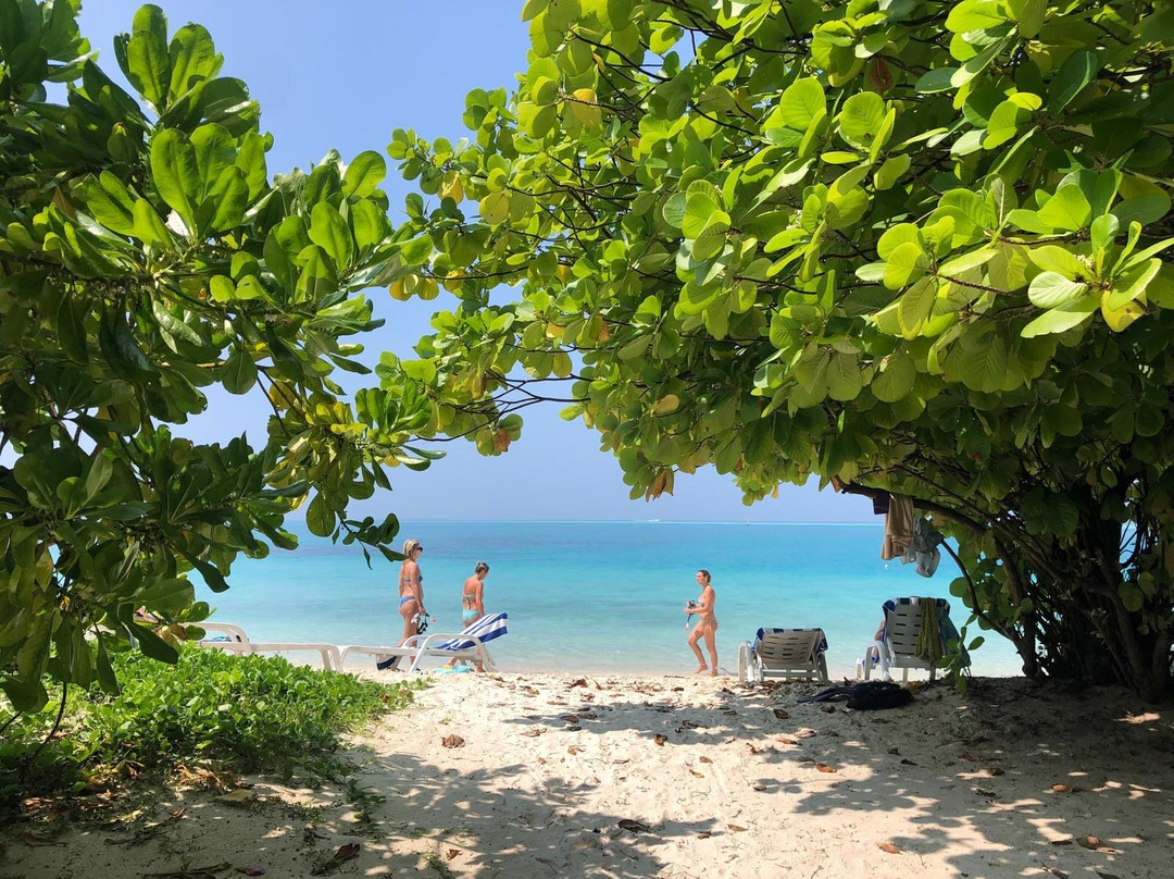 Mi Lugar Retreat and Spa主图