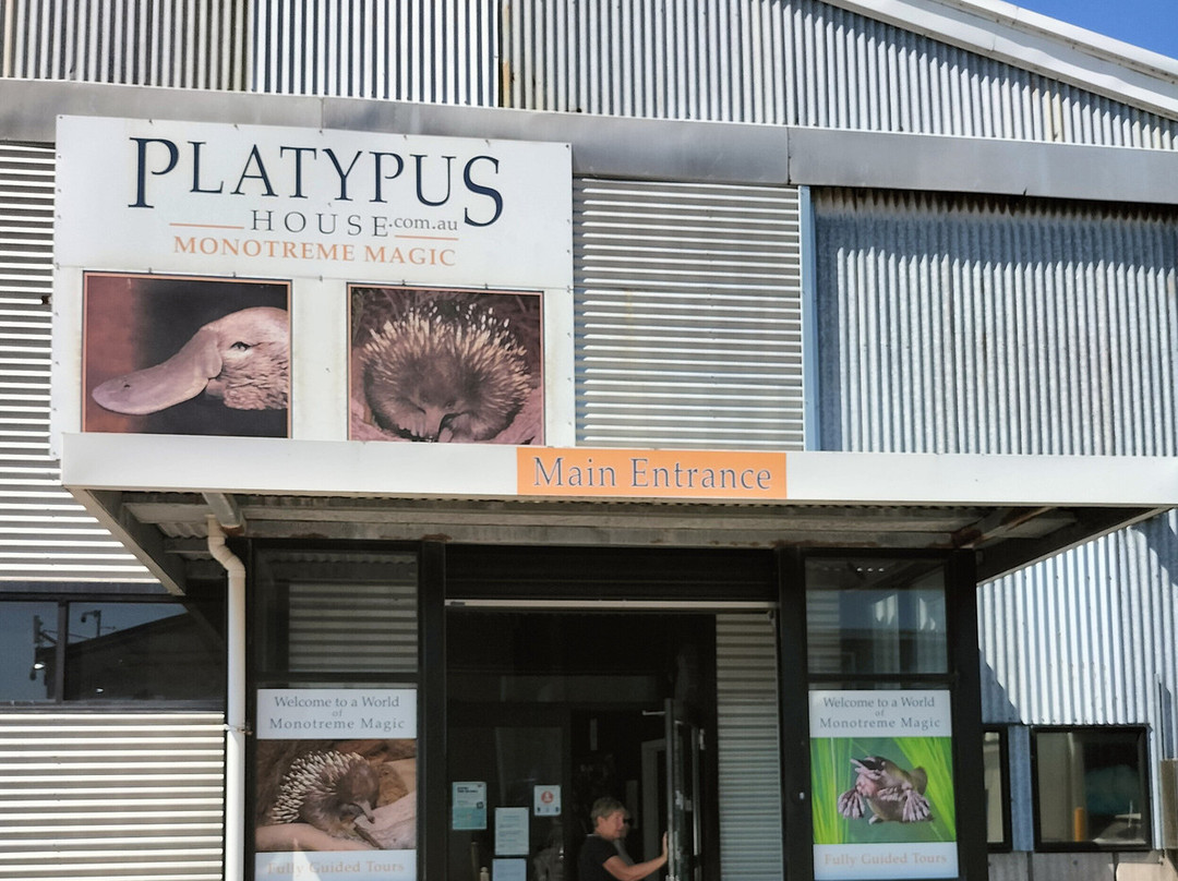 Platypus House-Beauty Point必去景点