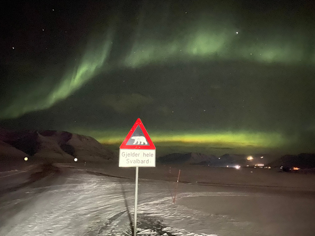 Svalbard Buss og Taxi-朗伊尔城必去景点