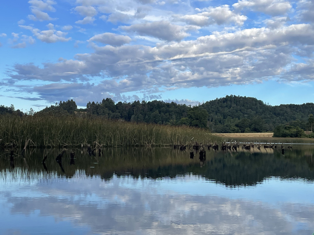 Rio Vivo-瓦尔迪维亚必去景点