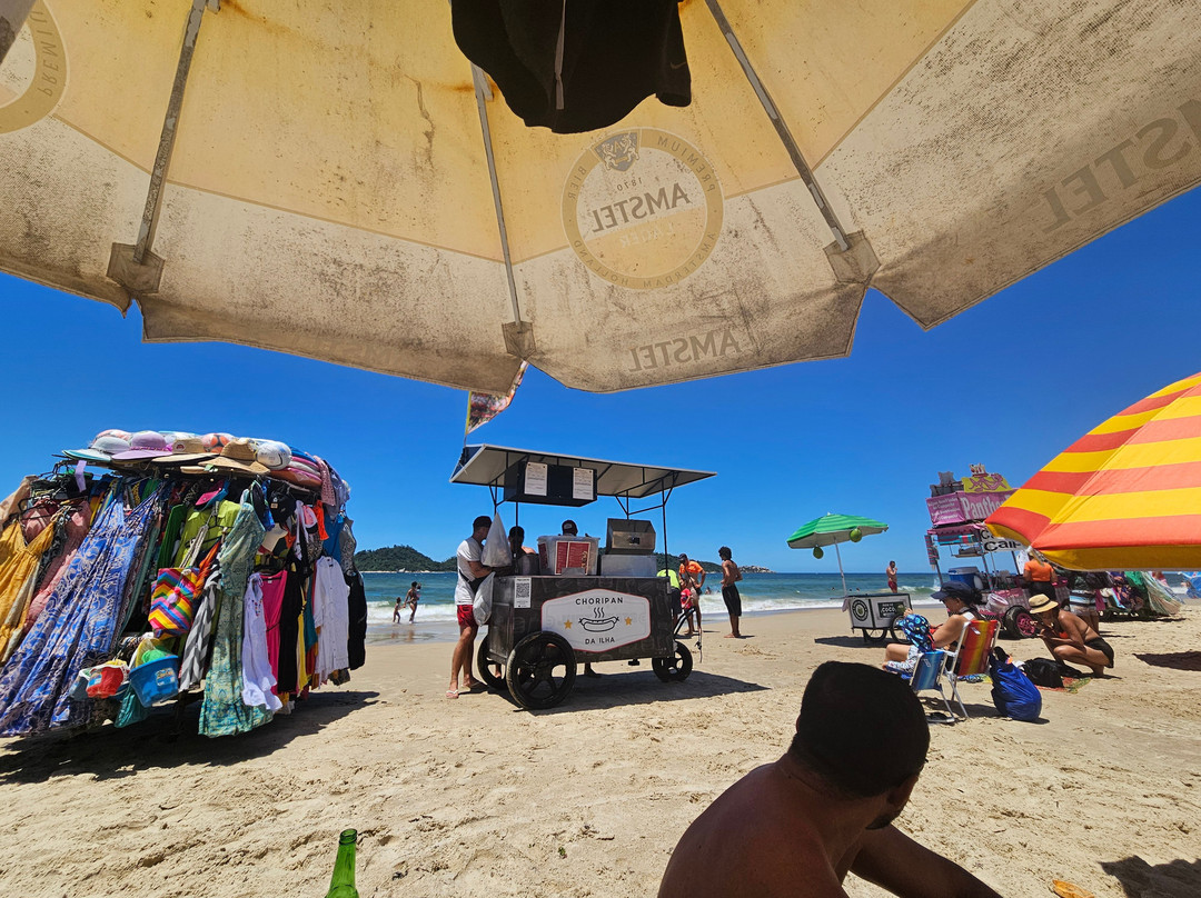 Praia do Campeche-弗洛里亚诺波利斯必去景点