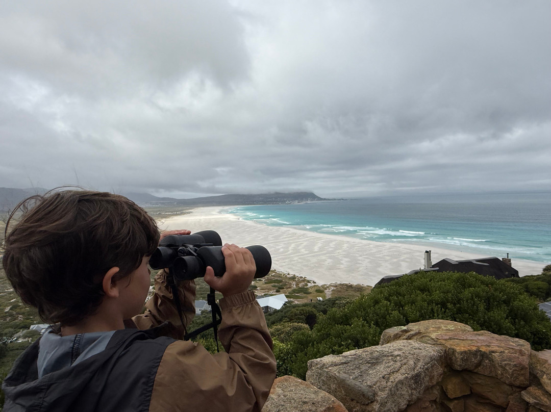 Into Africa life changing experiences-Seronera必去景点