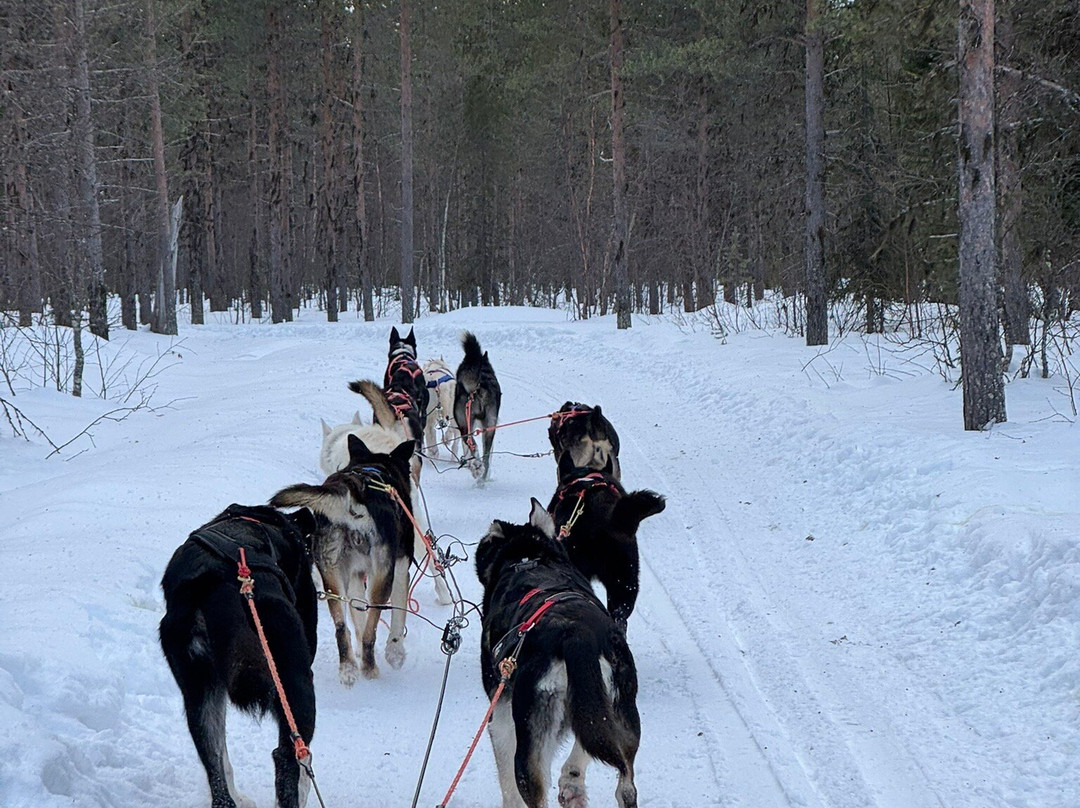 Polar Lights Tours-Sirkka必去景点