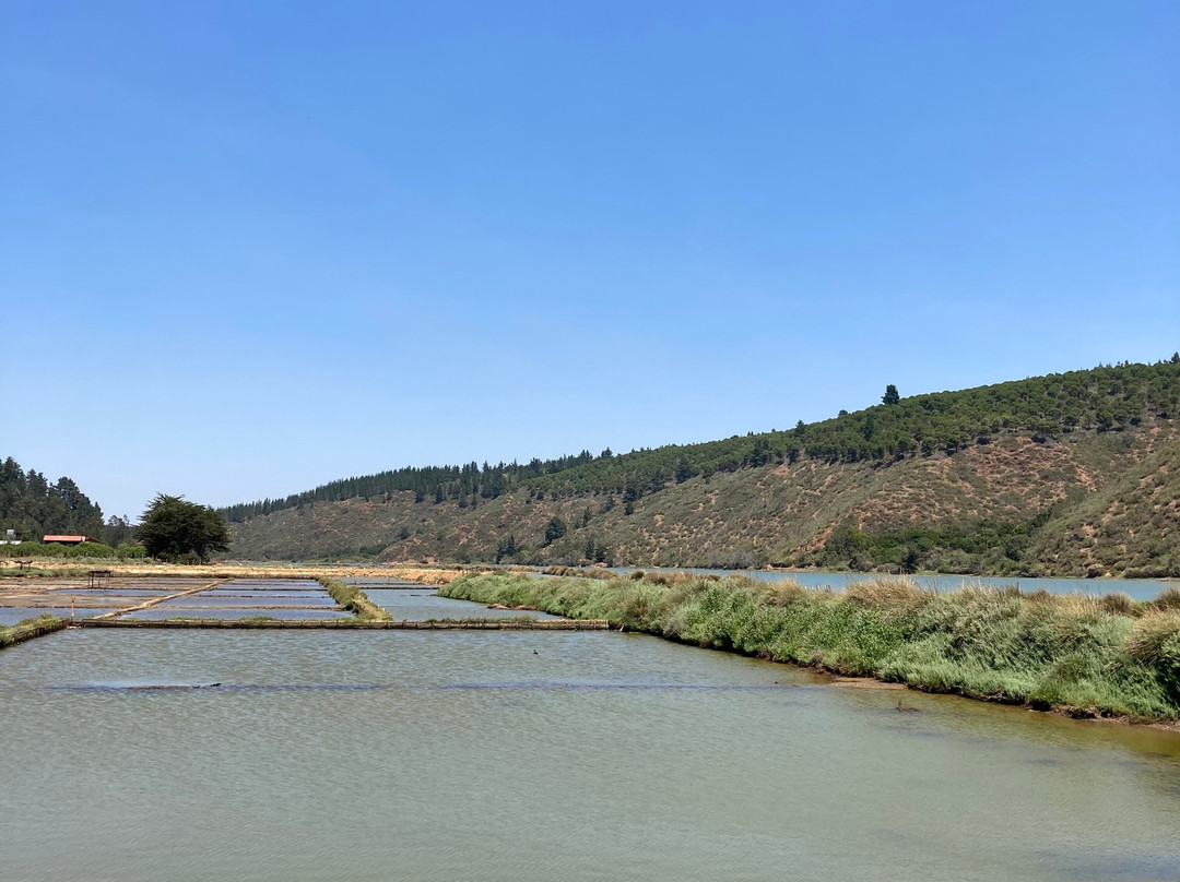 Salinas de Cahuil-皮钦勒姆必去景点