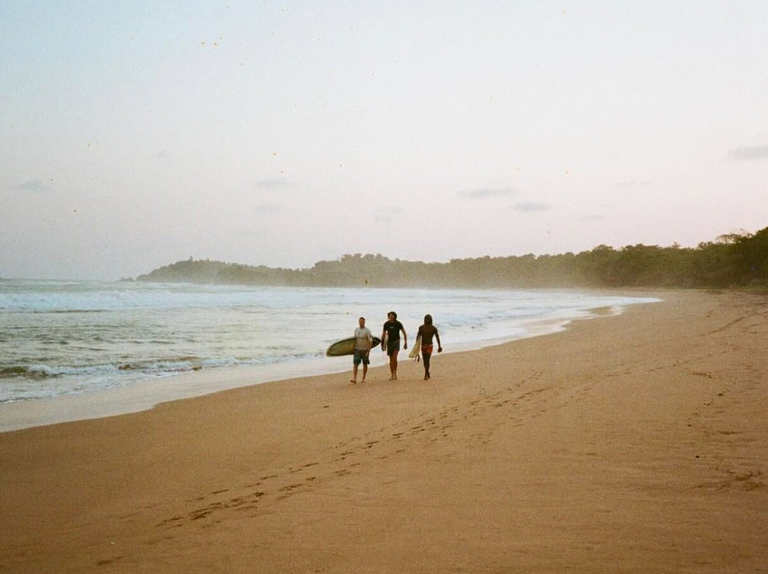 Loshe's Surf Cape Three Points