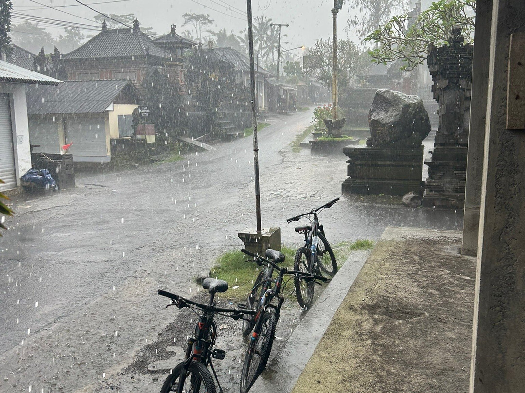 Bali Culture Tours景点图片