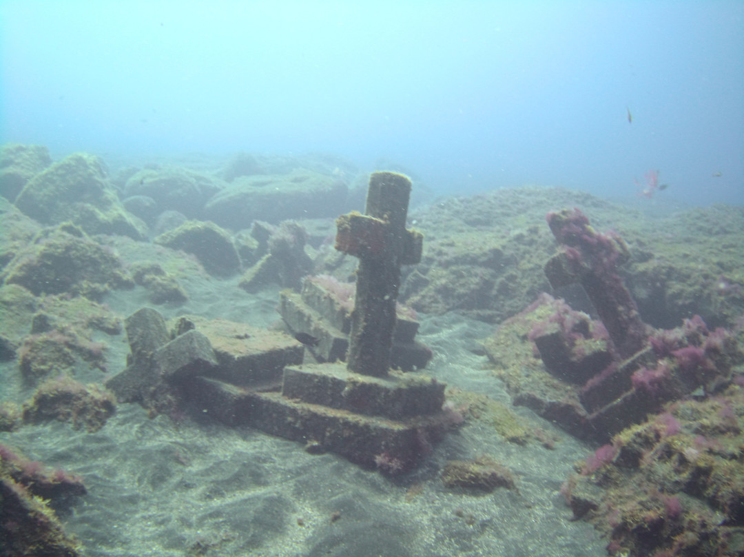 Punkfish Diving La Palma景点图片