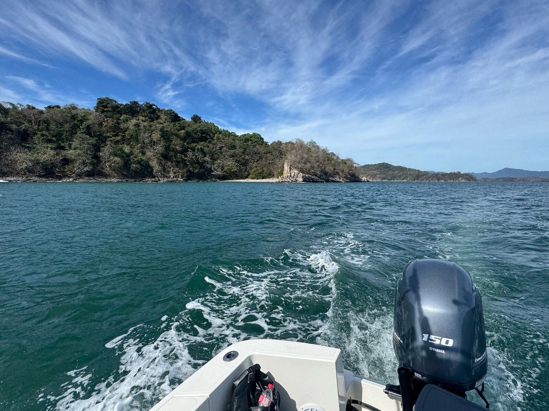 Sol Fishing Tours景点图片