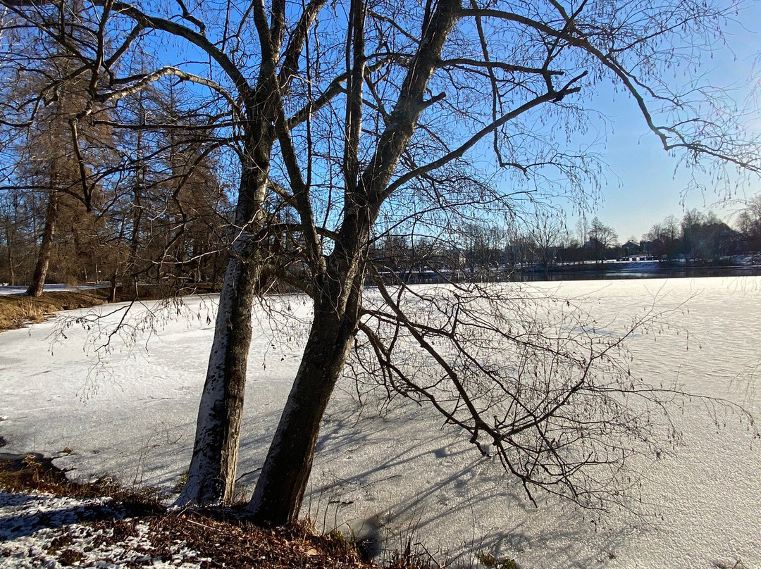 Boulognerskogen City Park-Gävle必去景点