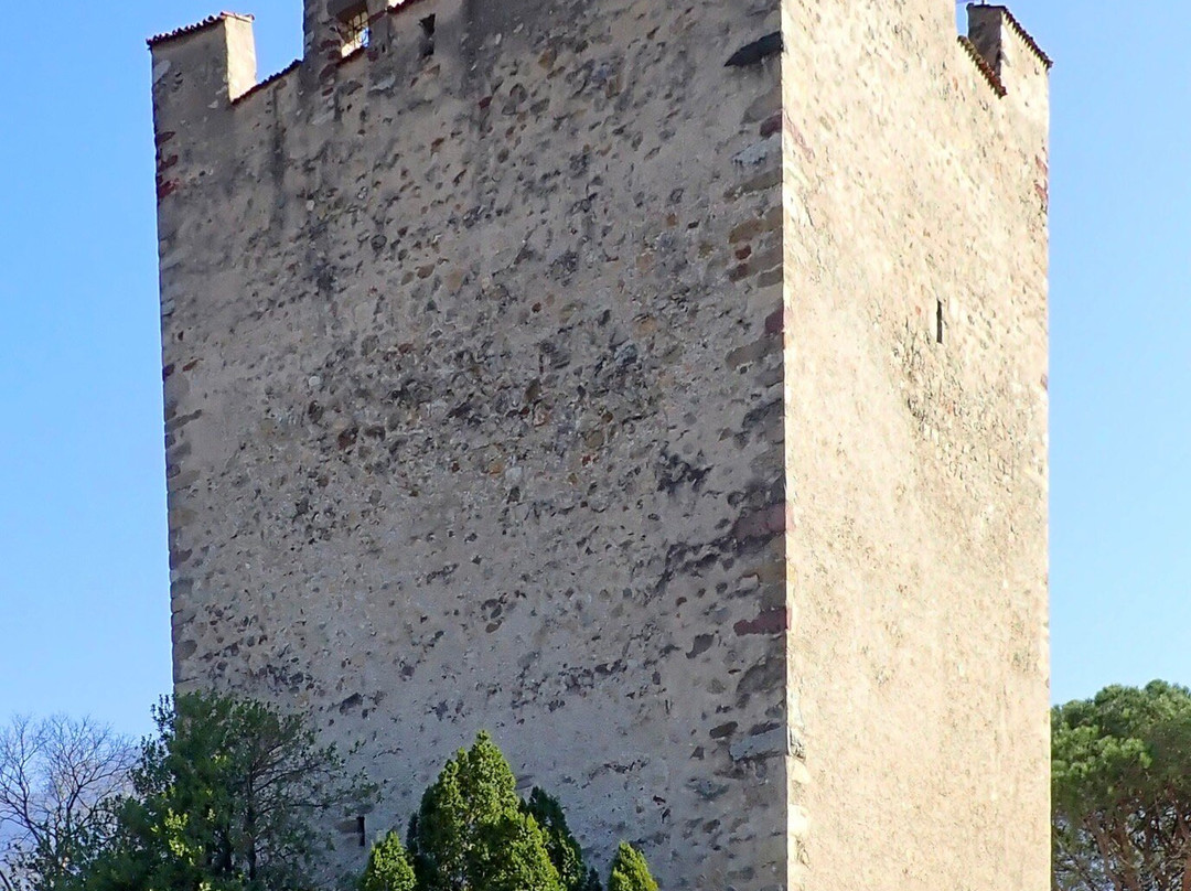 Torre delle Polveri景点图片