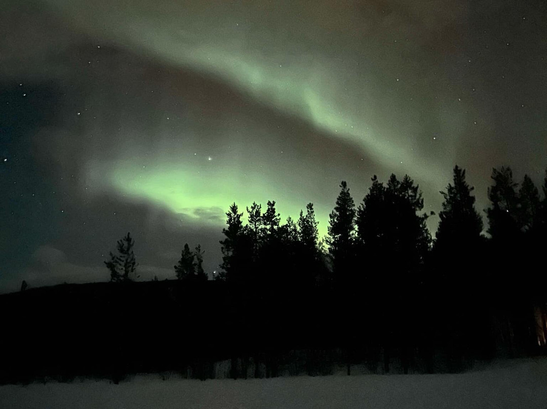 Northern Lights Safari景点图片