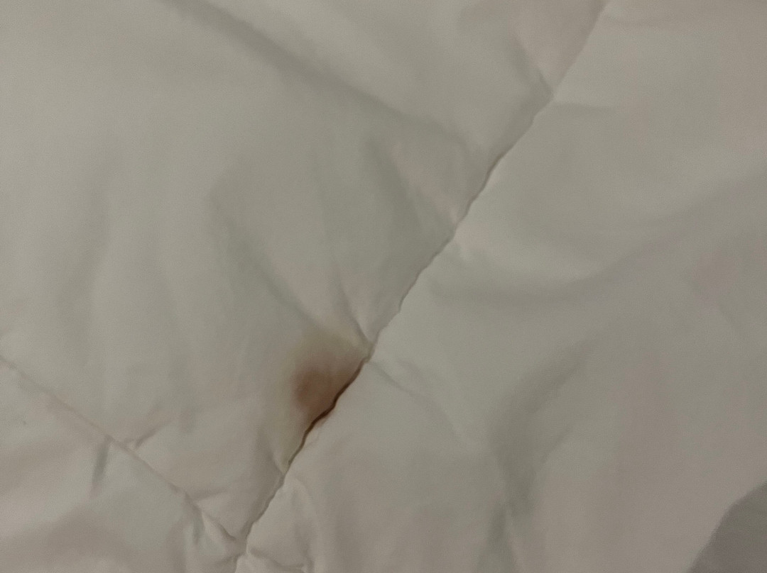 Cambridge Hotel and Conference Centre主图