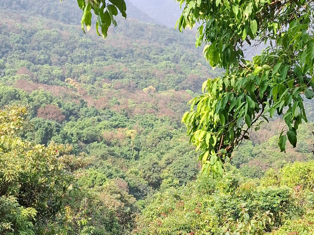 Funicular (wildernest)-Chorla必去景点