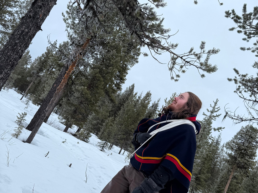 Nutti Sámi Siida景点图片