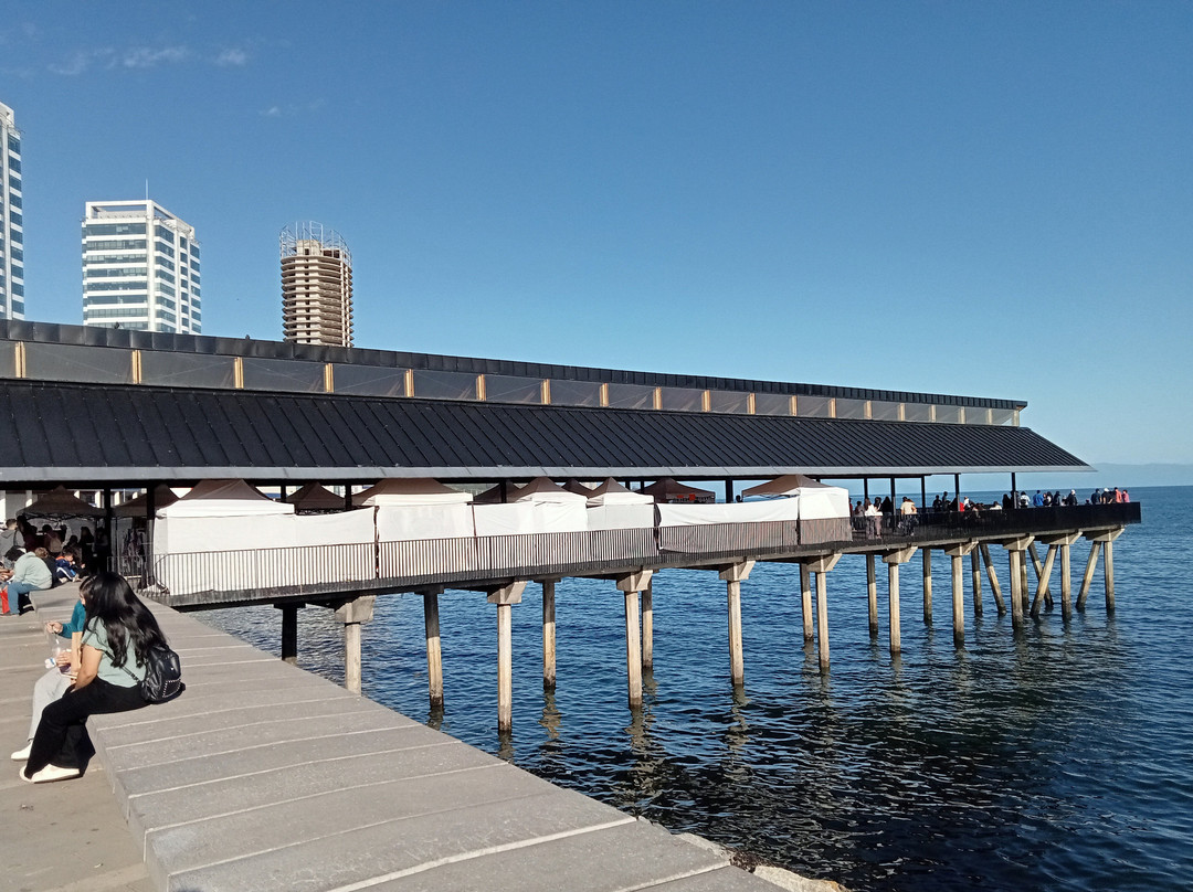 Muelle de Paseo-蒙特港必去景点