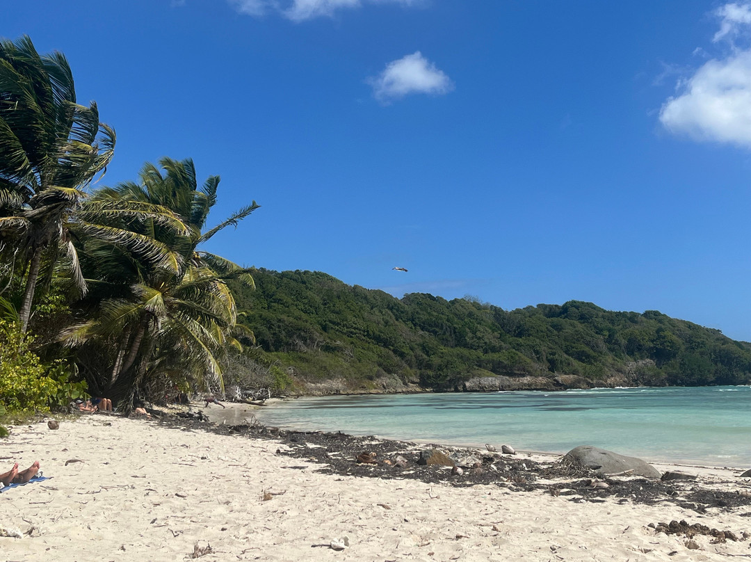 Île Tropical Lodges