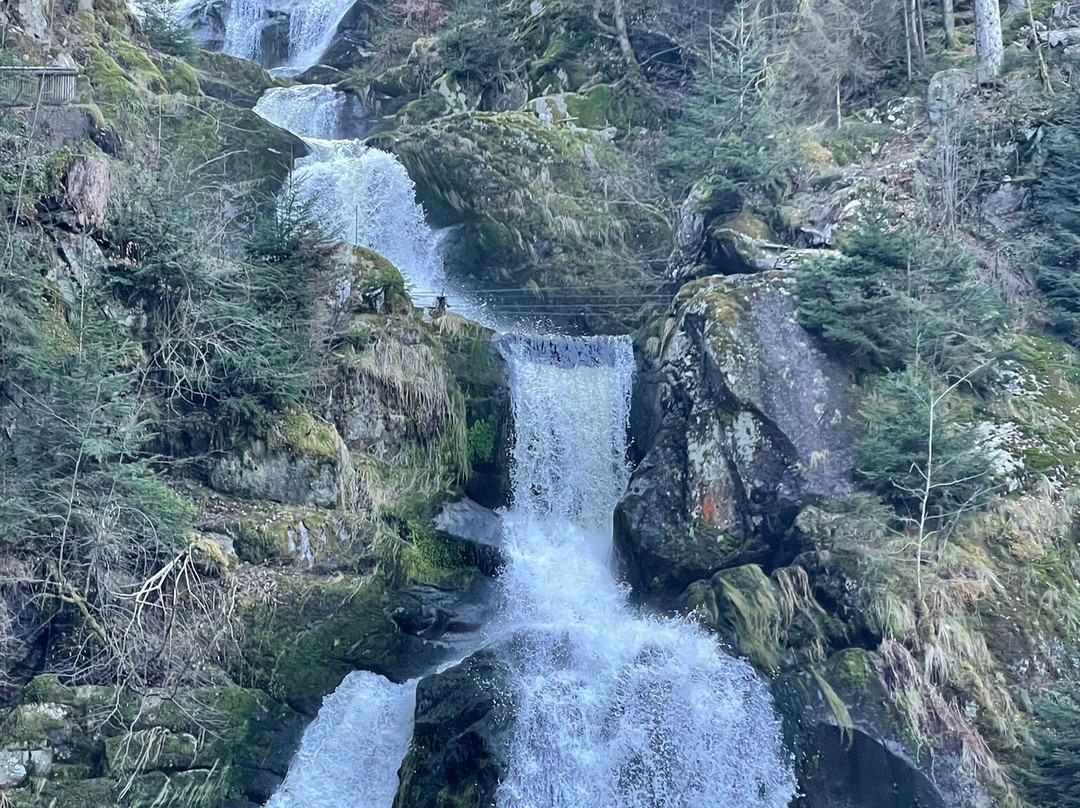 Triberger Waterfall景点图片