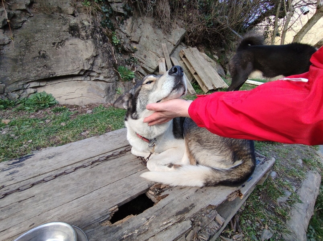 Le Repaire des Huskys景点图片