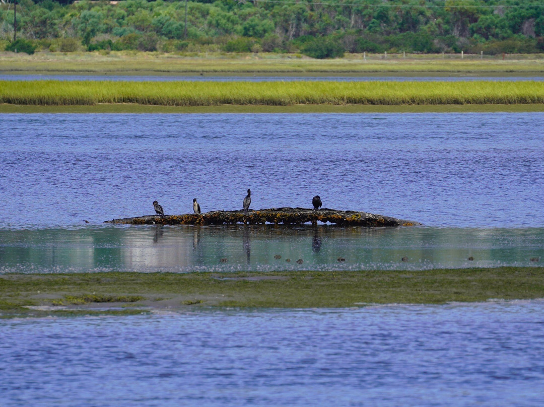 Knysna Houseboats-克尼斯纳必去景点