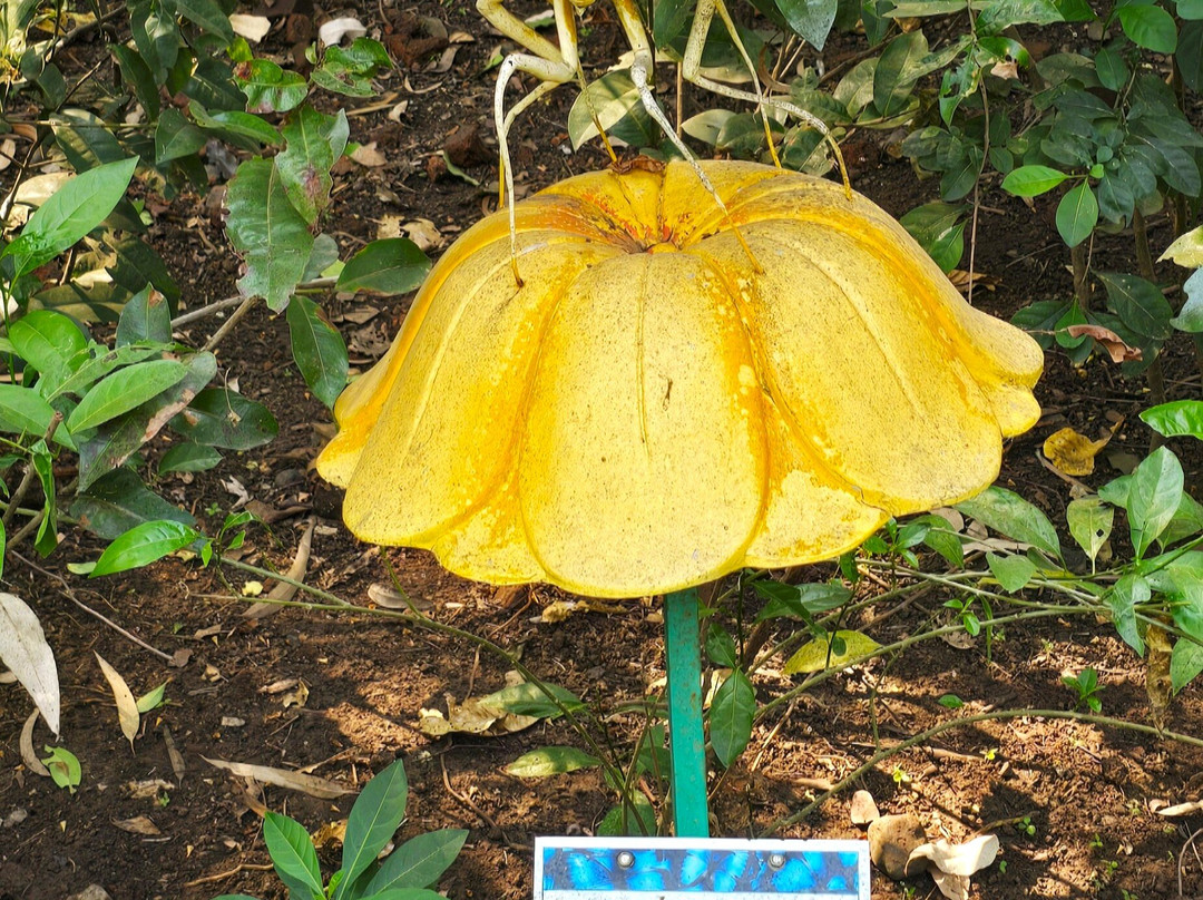 Butterfly Park-Khanvel必去景点