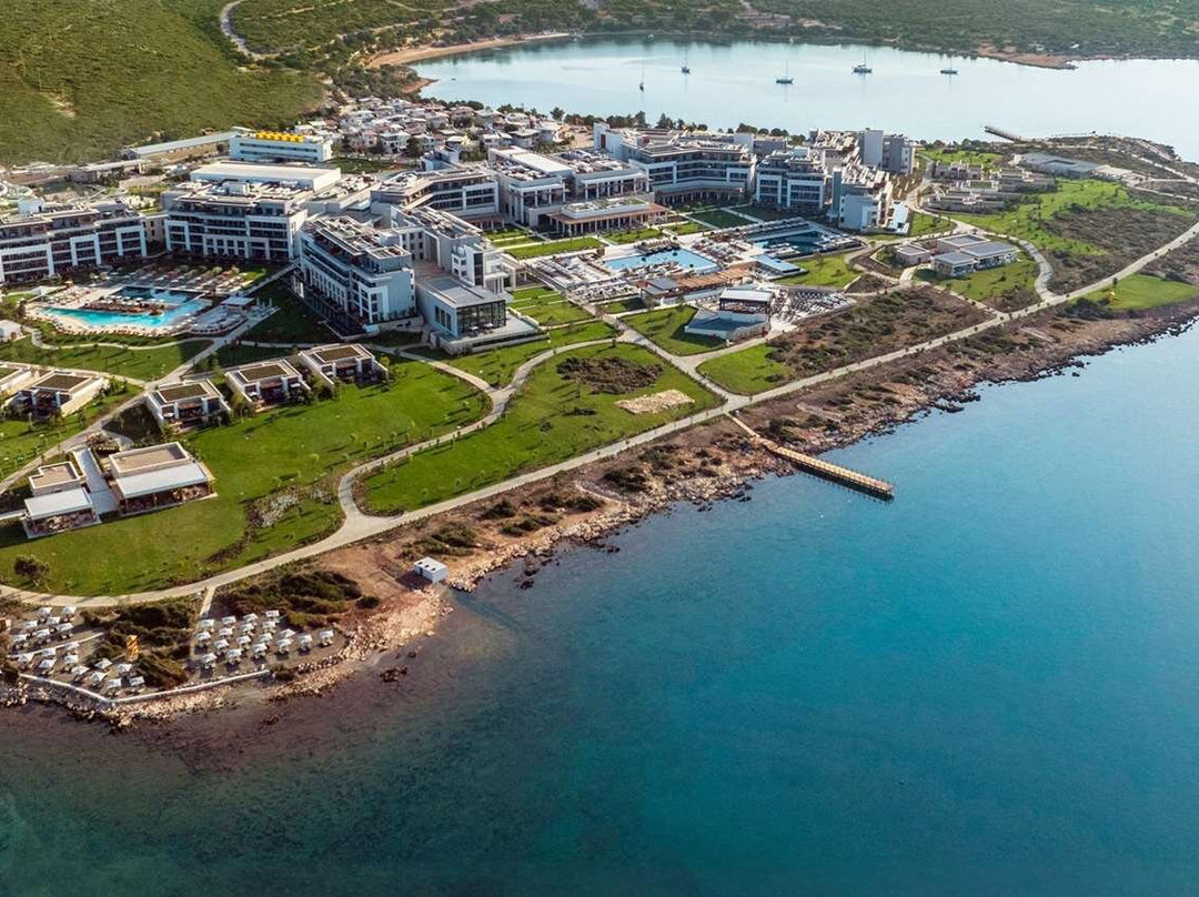 Anda Barut Collection主图