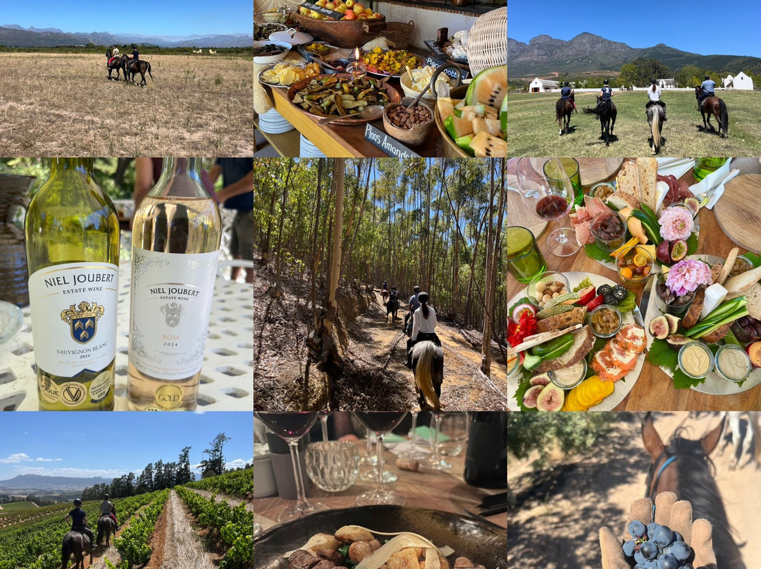Cape Winelands Riding-Simondium必去景点