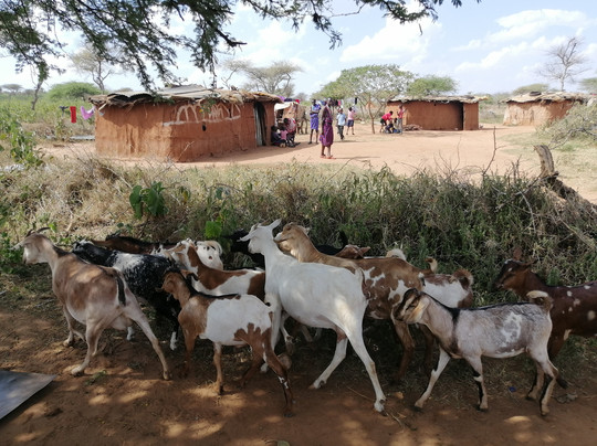 Michoore Tours & Travel-内罗毕必去景点