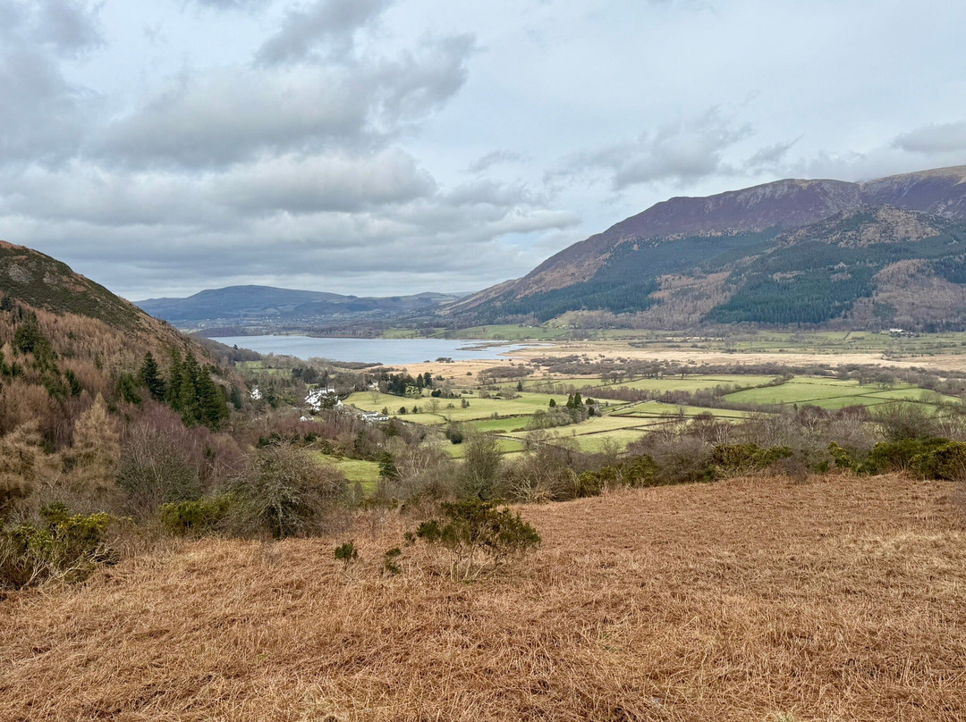 Whinlatter Forest-Braithwaite必去景点