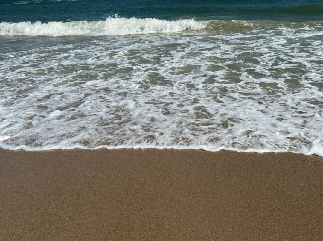 Playalinda Beach景点图片