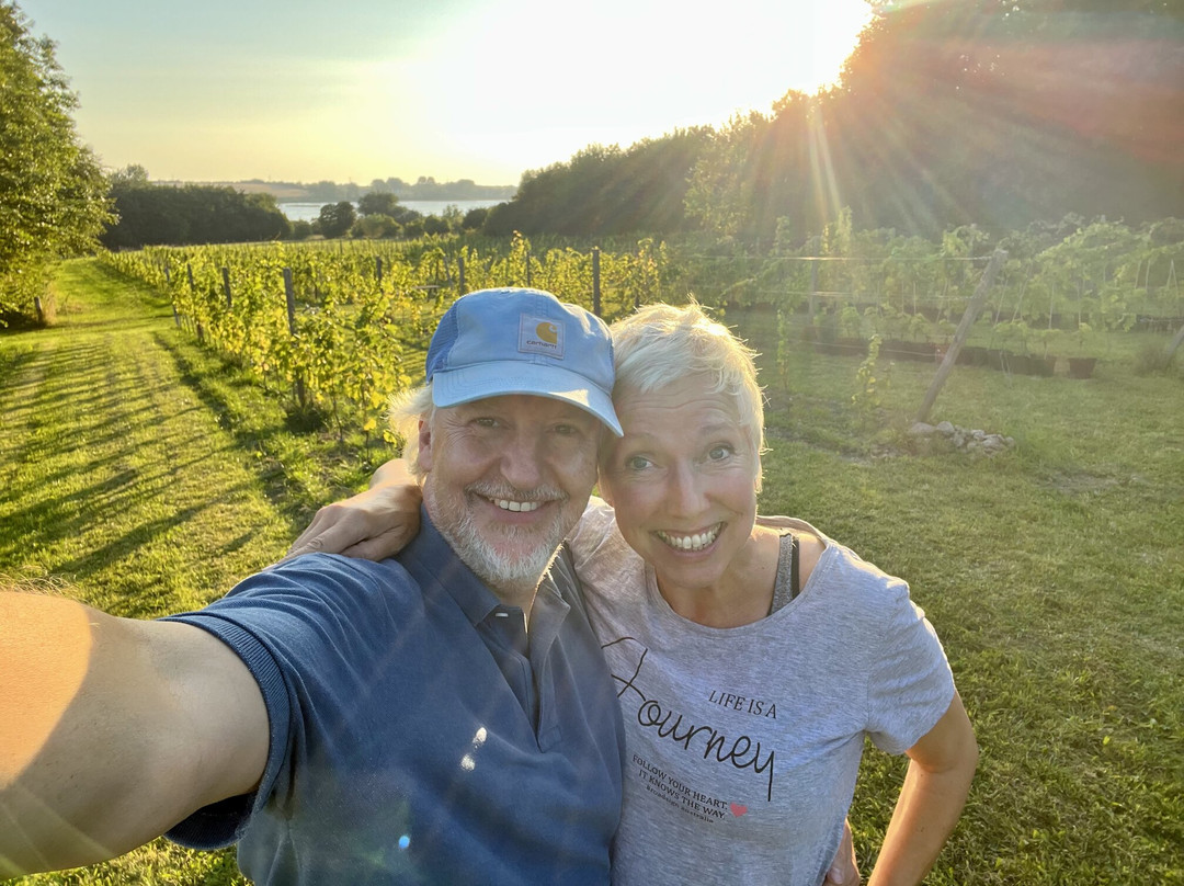 Ærø Vin