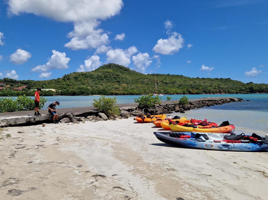 Kayak Mangrove Martinique-圣吕斯必去景点