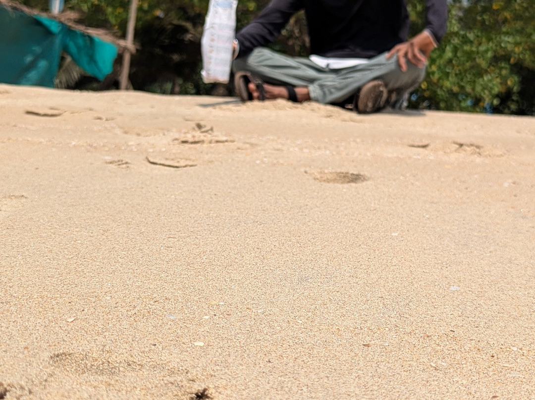 Sagar Sparsh - The Sea Touch主图