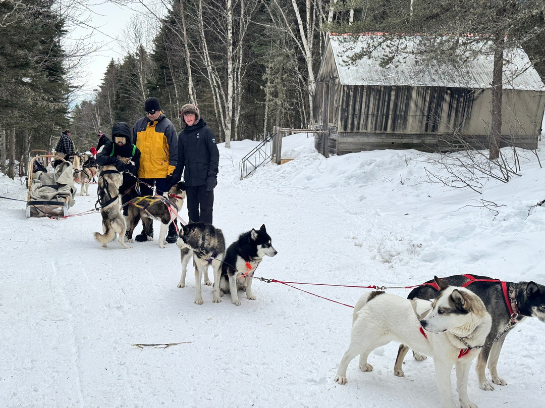 Le Chenil du Sportif-Charlevoix必去景点