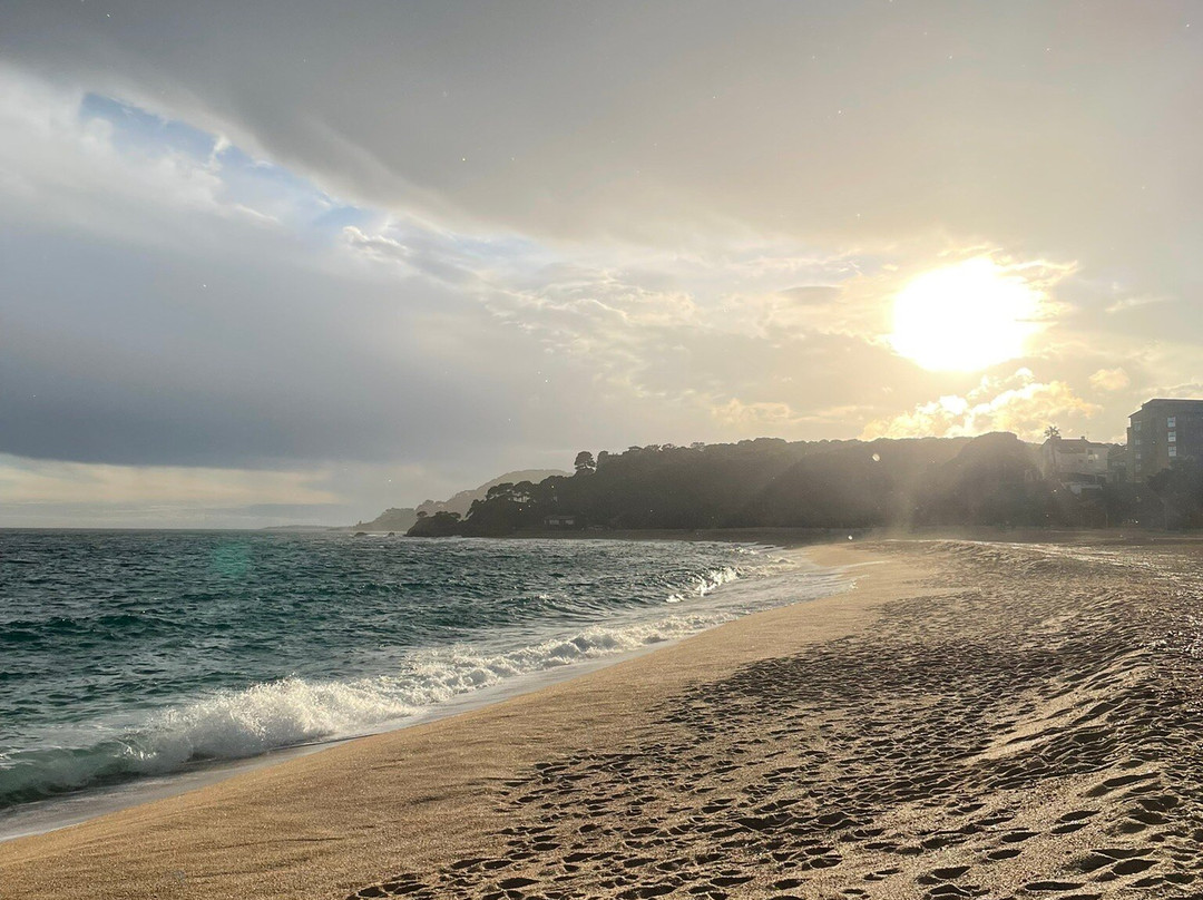 Lloret Beach景点图片