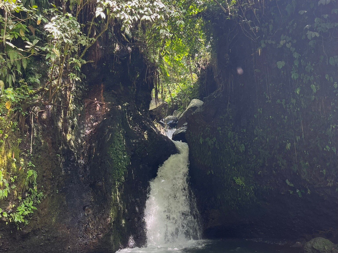 Edy Tour Guide-Tetebatu必去景点