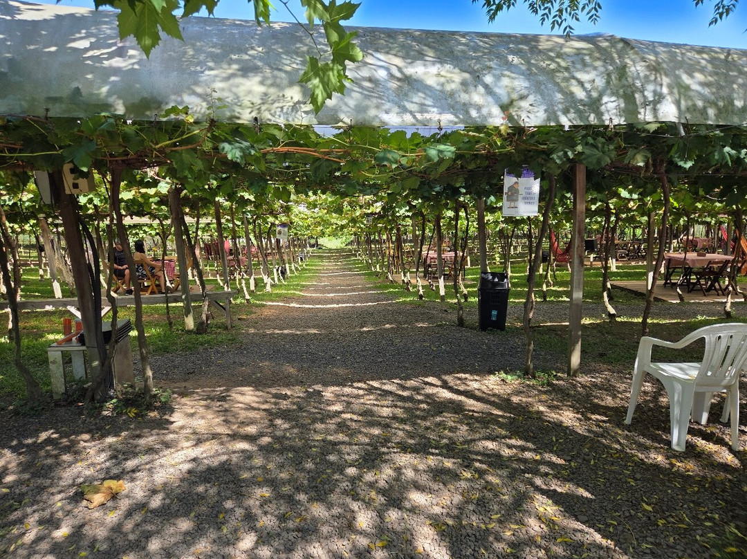 Vinícola Videiras Carraro-本图贡萨尔维斯必去景点