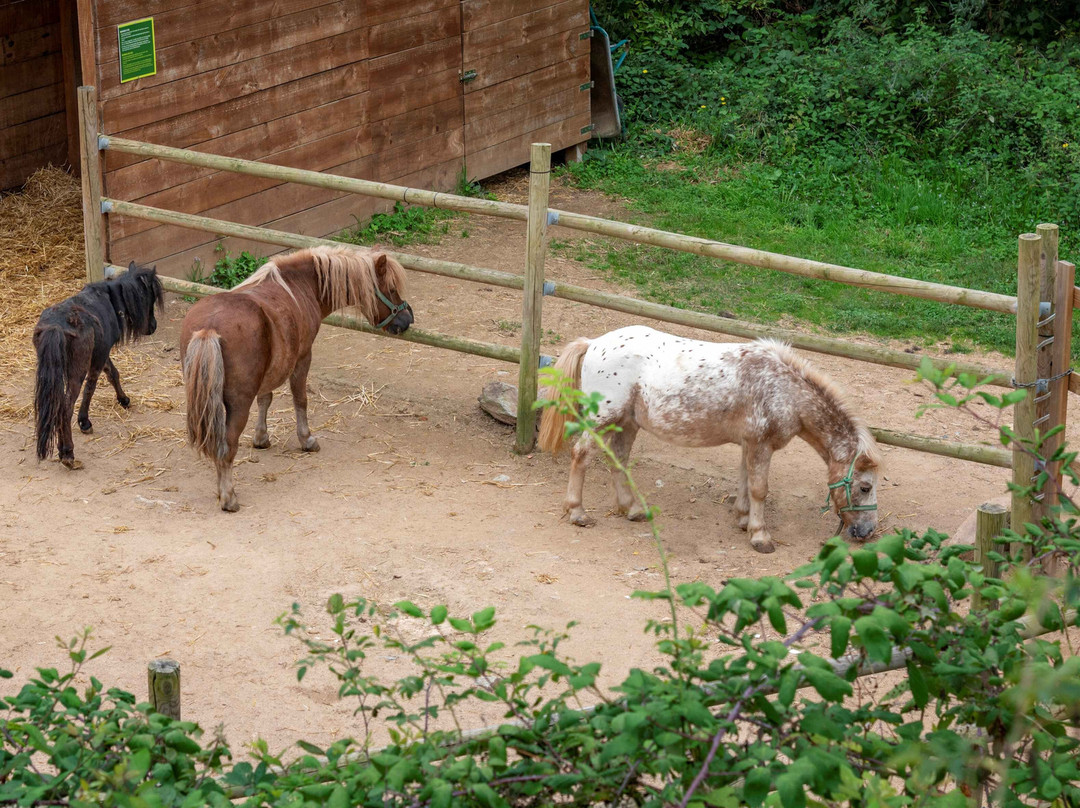 Vilar Rural de Sant Hilari Sacalm主图