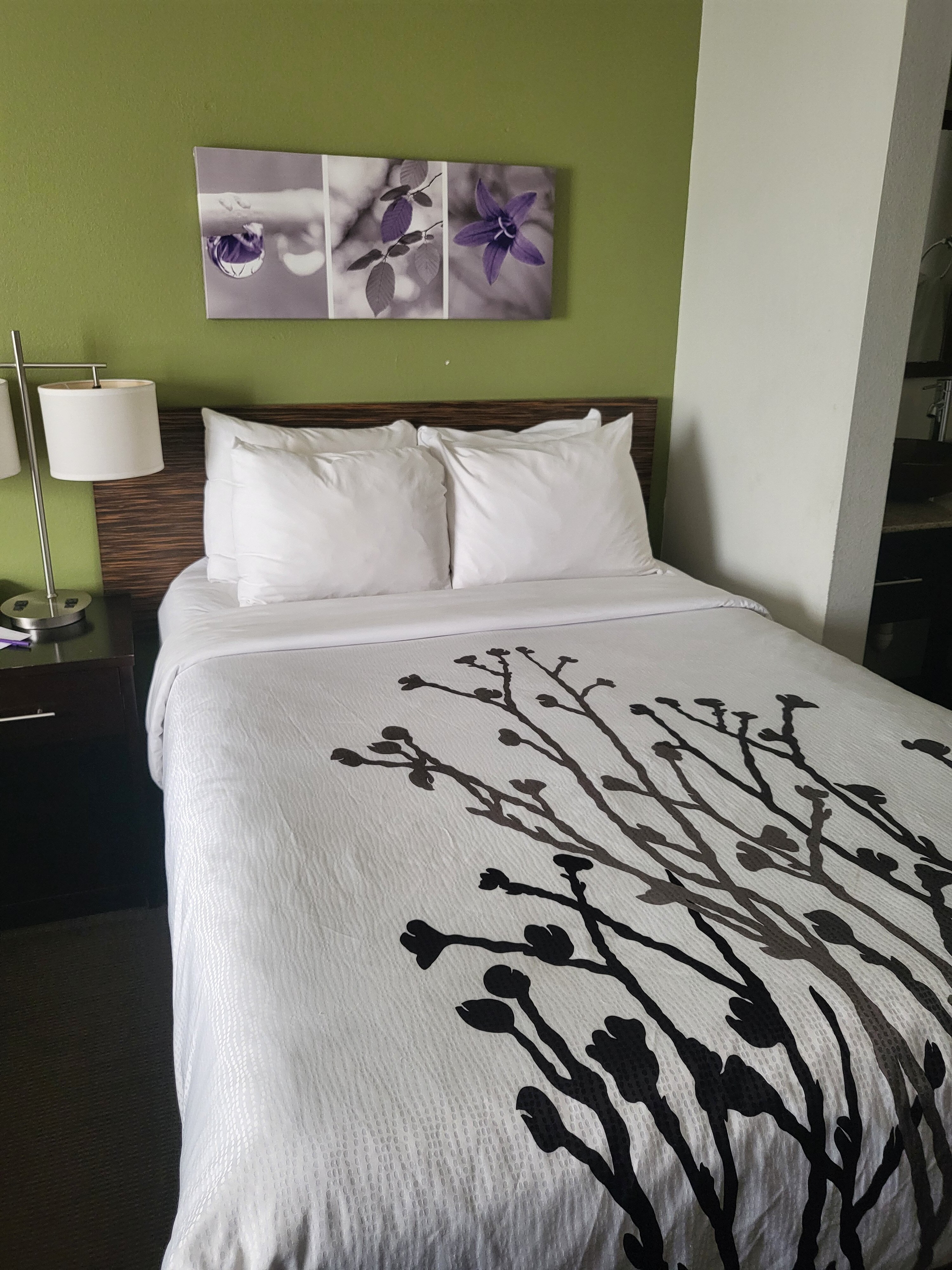 斯里普酒店-客卧