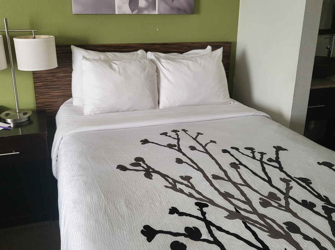 斯里普酒店主图