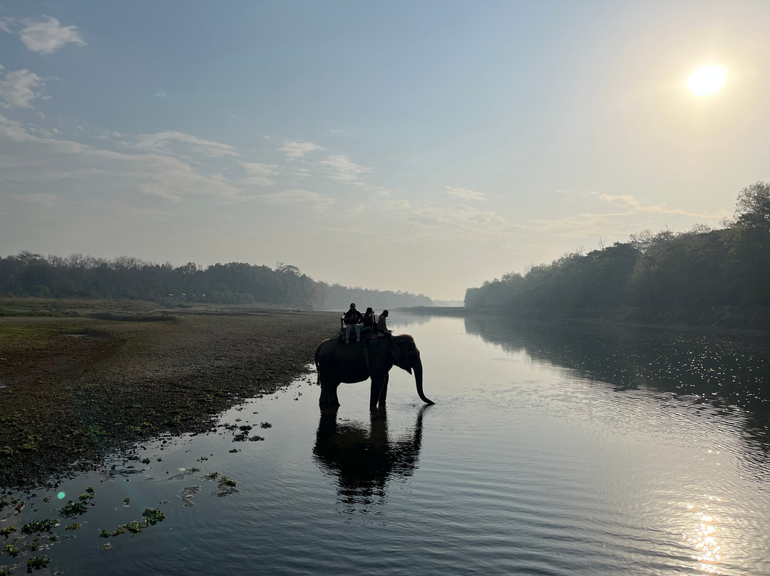 Safari Narayani Hotel主图