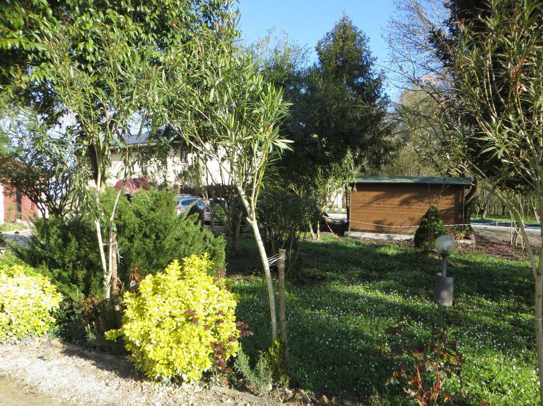 Villa Belfiore主图