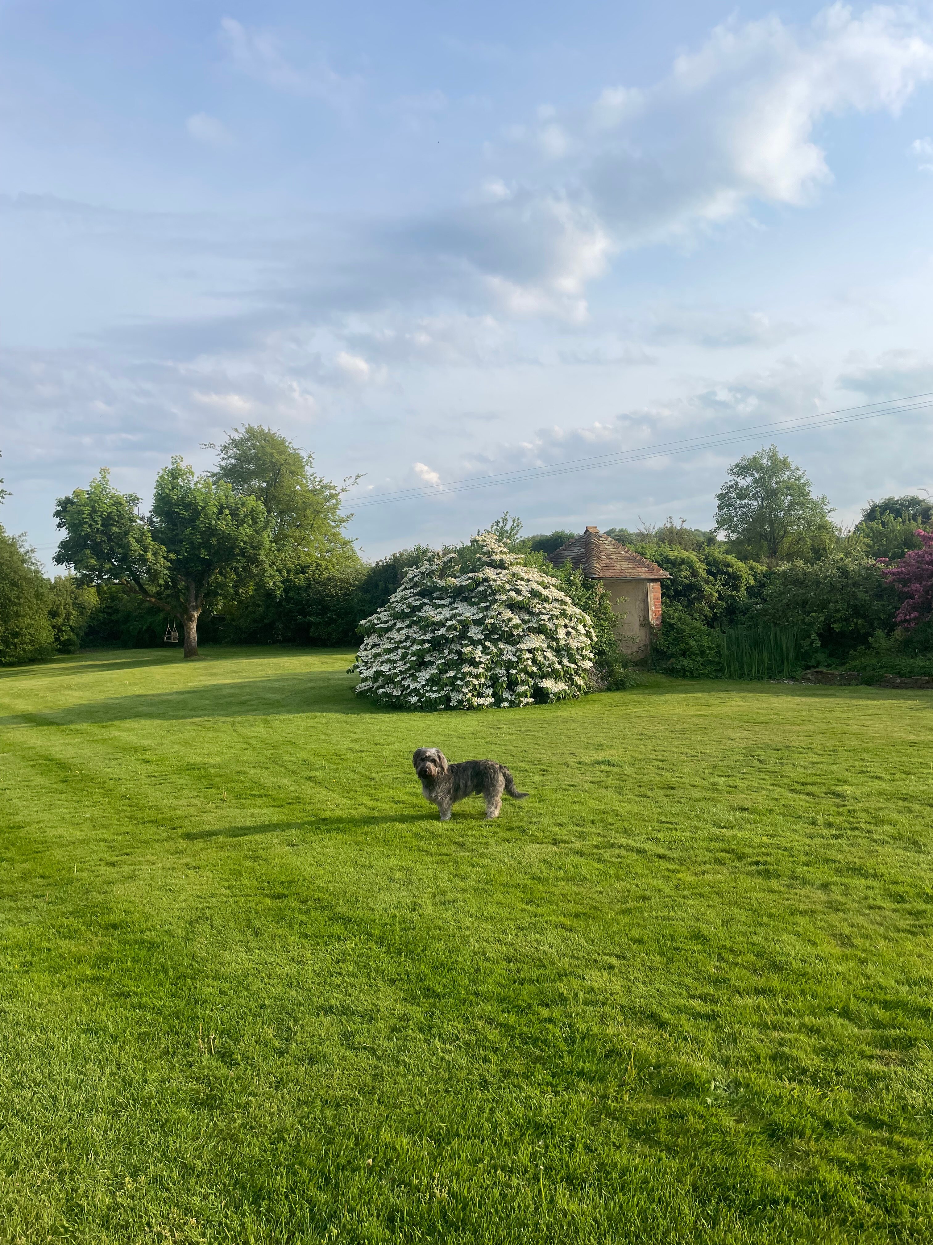 Crows Hall Farm Bed & Breakfast-浴室