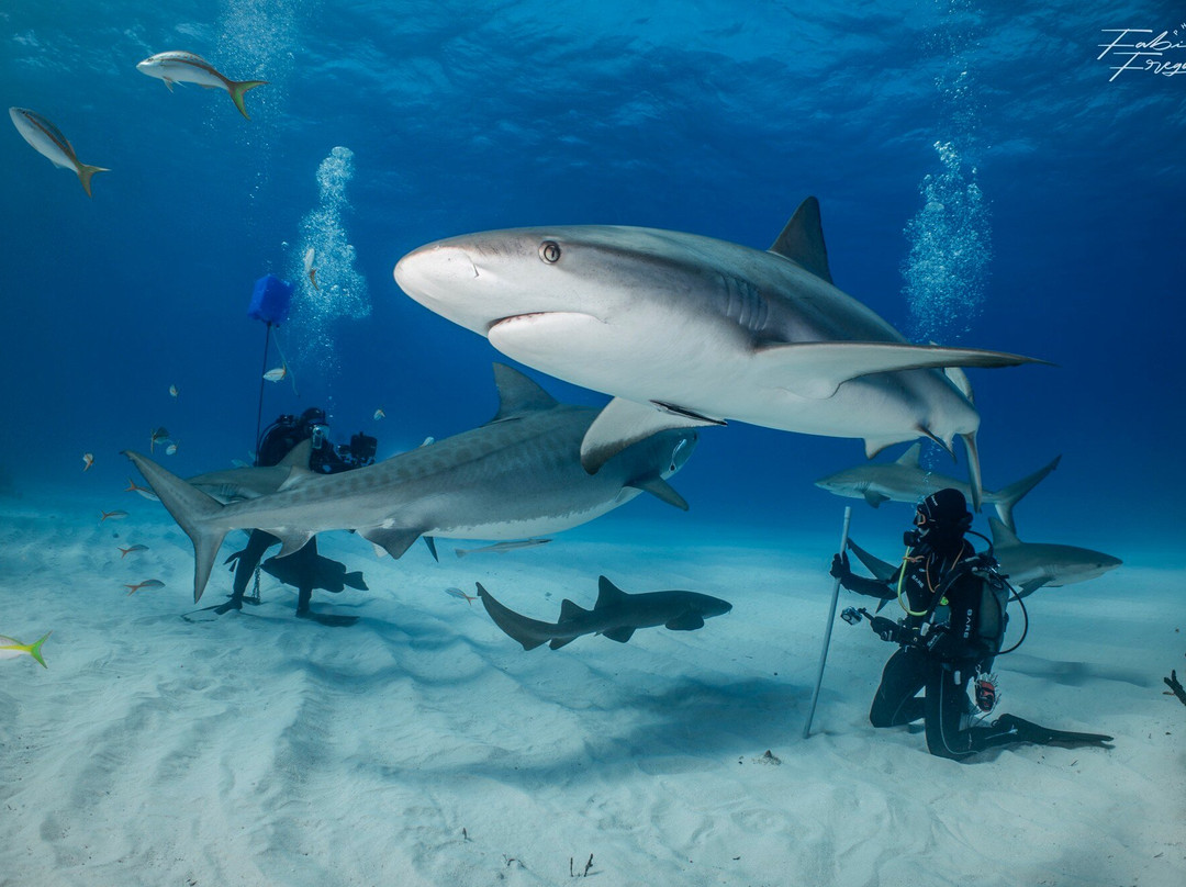 Great Xplorers-Eusebio必去景点