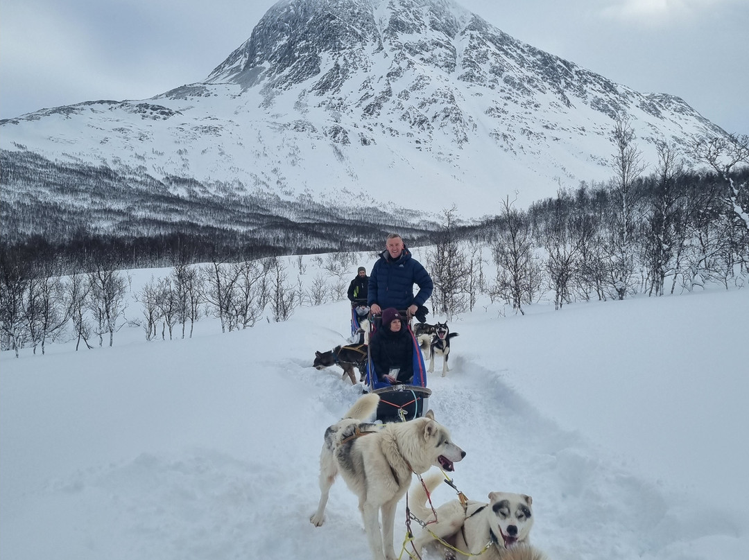 Northern Light Dog Adventure-Nordkjosbotn必去景点