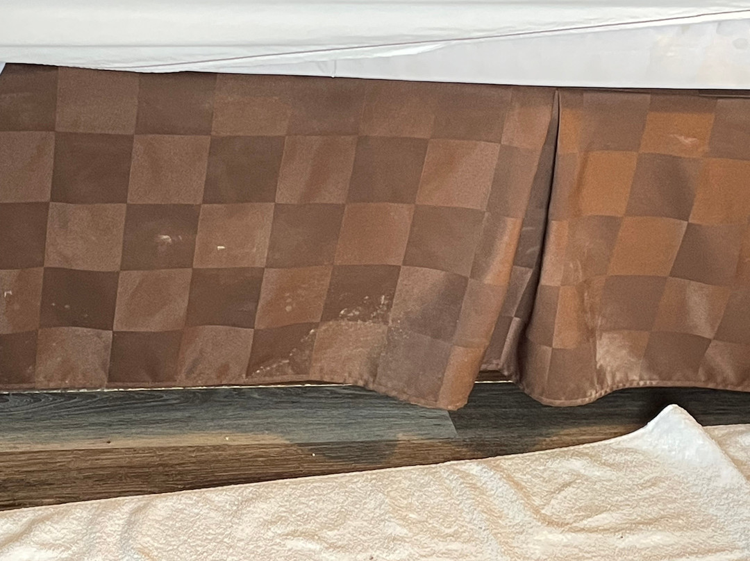 Baymont by Wyndham Albany主图