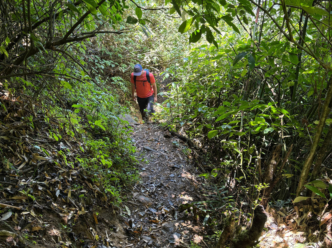 Knuckles Trekking with Gamini-康提必去景点