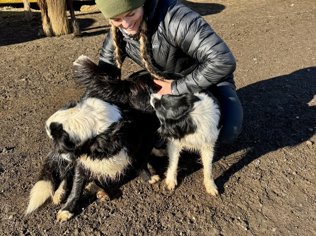 Eyjardalsa-胡萨维克必去景点