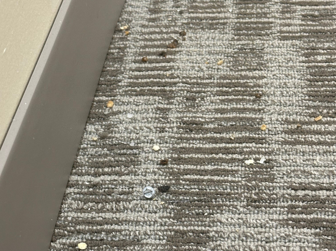 波特兰机场希尔顿花园酒店主图